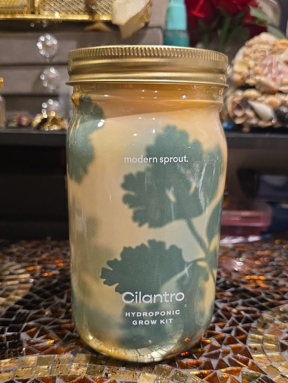 Modern Sprout Cilantro Hydroponic Grow Kit - Cream and Green